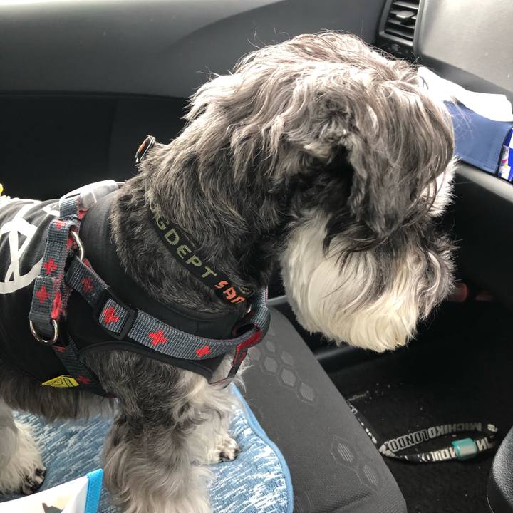 D5f080d2 272b 4410 b066 fb657fe2cd6a 1682047153948