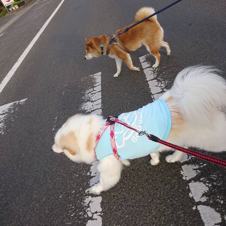 D5f081be cfc6 4db8 8c97 82b69dea229b 1527544352524