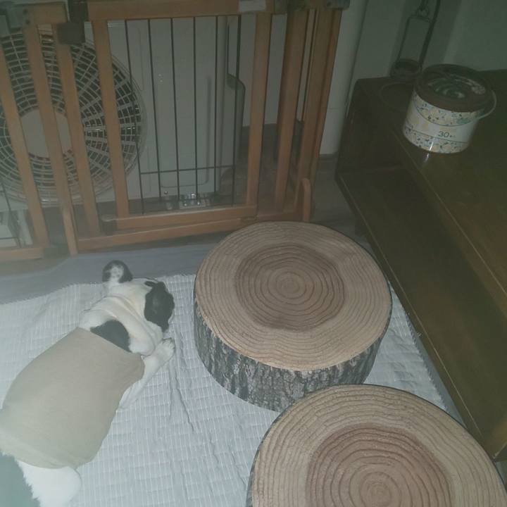 D5f090d8 493c 4459 9d54 6d330a24f299 1689605468916