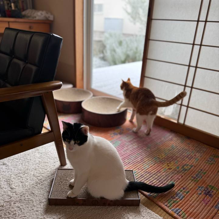 D5f13bf1 f7ec 4fc4 b72b 58bdc2dbd6b8 1770815644233