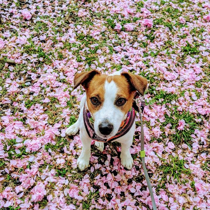 D5f14957 9ca9 4bb7 8f0e 854fd0c8a691 1745574799304