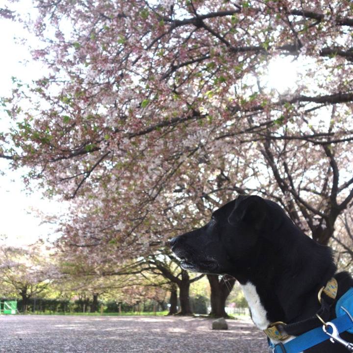 D5f1918d bb30 4aa0 b5ca 4cc21129bea2 1617497967512