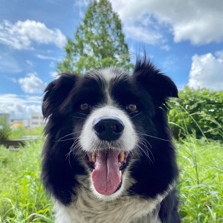 D5f1ba77 9029 48b3 b2a7 3663f6976041 1596933313986