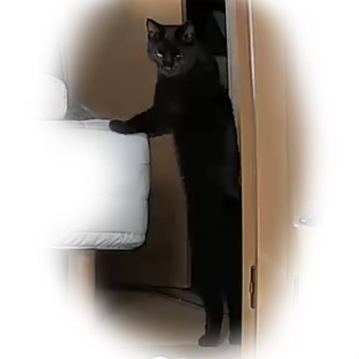 D5f1cbe3 3b63 40ba a31d 6b054f59e19f 1763629519890