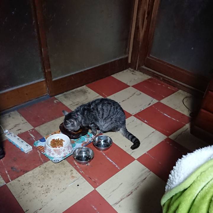 D5f1d1b9 6eb5 44f0 bfc8 c27d7dd61b04 1583699705229