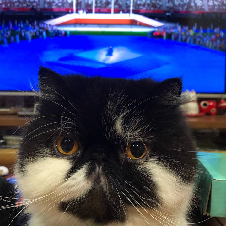 D5f1f851 c746 41d2 af1e 1c28a67ffd0a 1628429469873