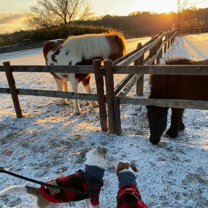 D5f20db6 a1d0 4636 8fcf 03b9fedd0016 1641014204854