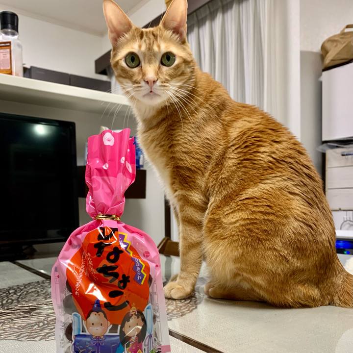 D5f221fd 87d0 403c afd2 1d6bd973a5da 1614767831812