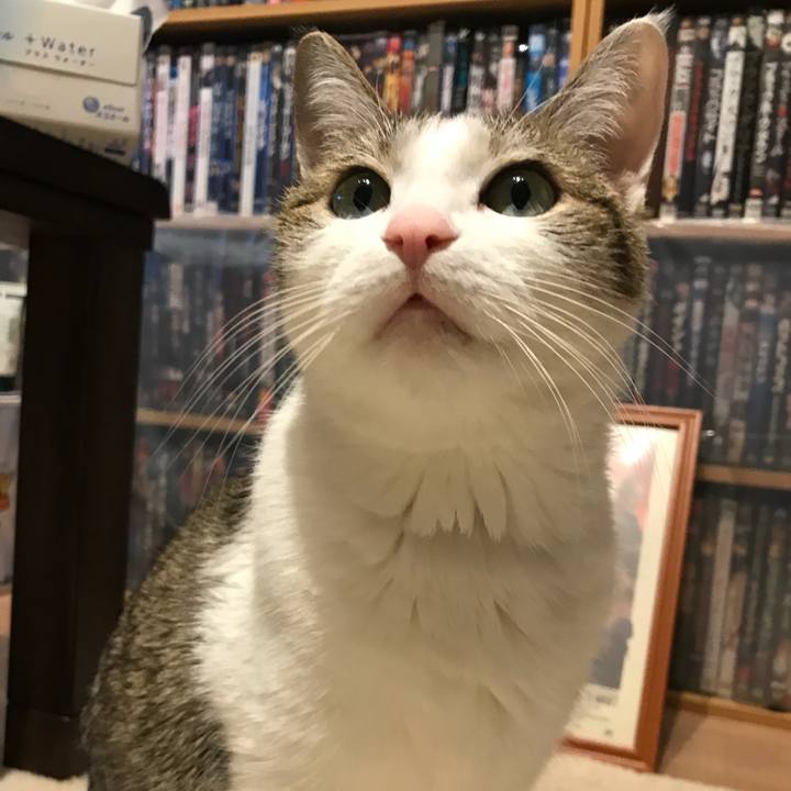 D5f23401 983c 401c b35f 6dbaf8496932 1623313009413