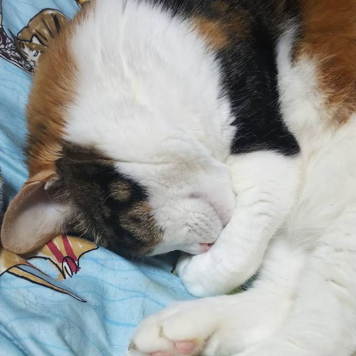 D5f27637 d832 4937 a9bd 2e0adf386375 1591512689637