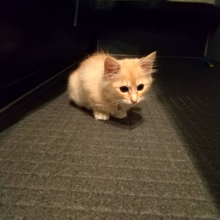 D5f288ad 44dc 42d5 b5a3 71b0f4fabdc0 1604580896809