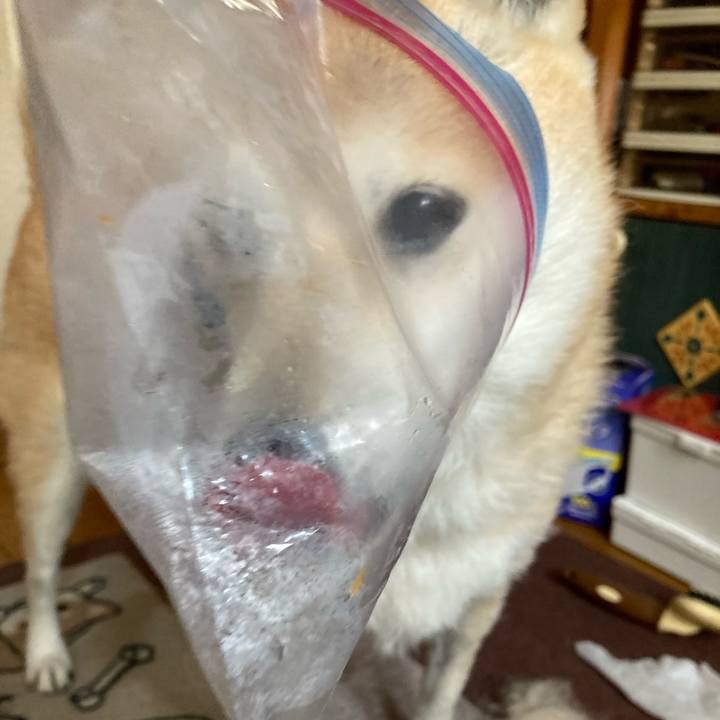 D5f2a35c 8fc6 417b 8d65 7cd66985a8cd 1612072303515