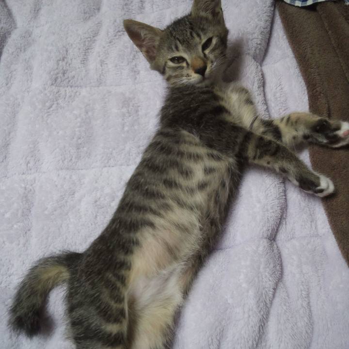 D5f2a883 aced 4eae 9e01 83db09a75054 1615548105580