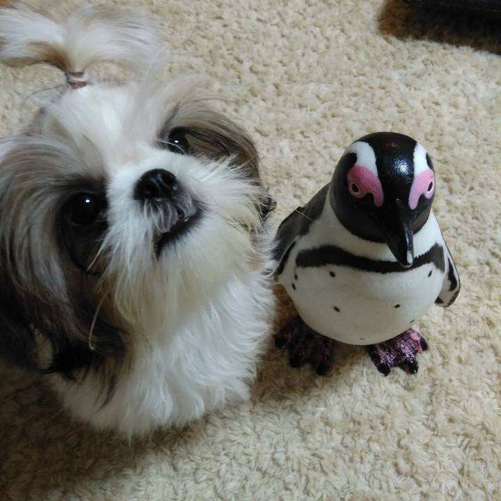 D5f2b414 bdc8 4a7d 97d0 47dde69e0db6 1538295573419