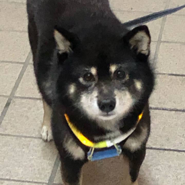 D5f2c266 406e 4b28 aaf7 e971f6ecaa50 1573816685323