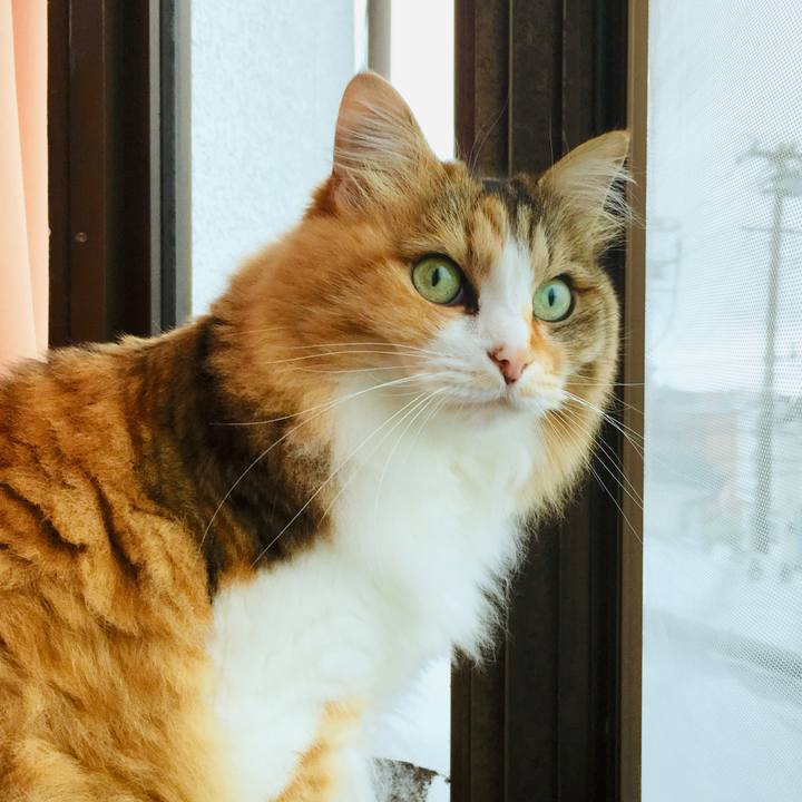 D5f2eb6e 2ebb 45fd b716 ce5afc803aed 1563099075088