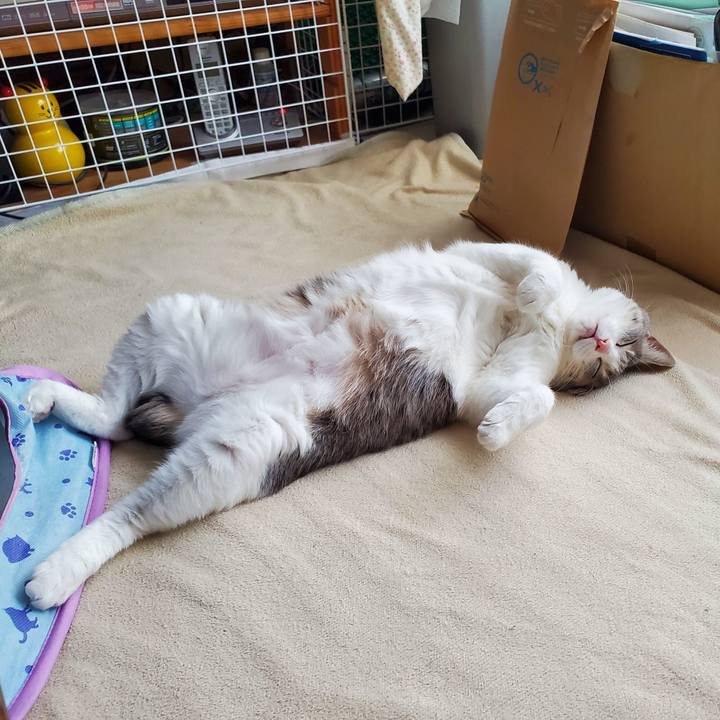 D5f3154a b373 4ef8 bd63 67a91dd55008 1706078208130