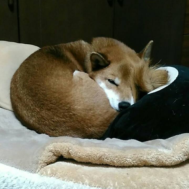 D5f3274a cf1d 4e48 bef1 40ec165c913b 1575379242703