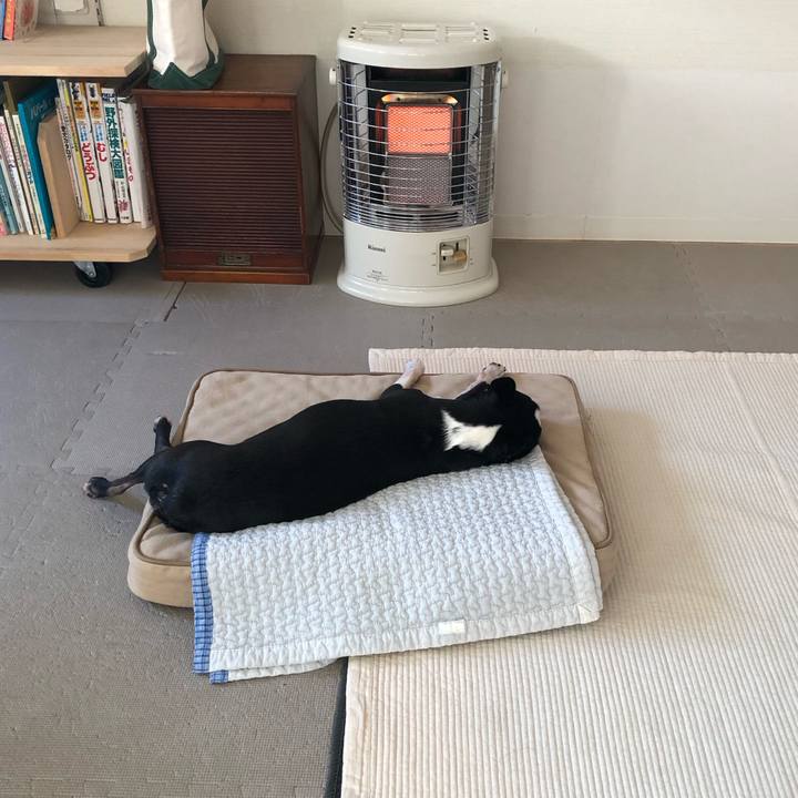 D5f32c4b 657b 44c7 8714 d4bf72c93f15 1671493310755