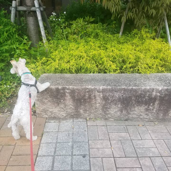 D5f33c1f 9597 4482 8f3e d5c6b35f6903 1590573378735