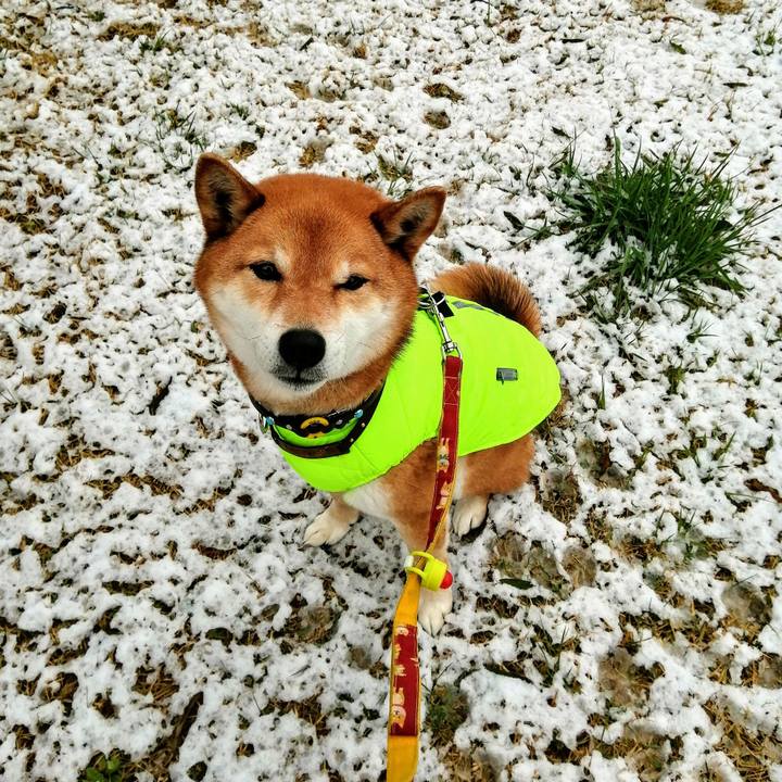 D5f38fb6 a151 43ab b184 62df932a45e5 1585462591391