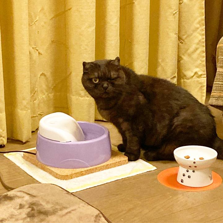 D5f421f2 1d12 4fca b000 9613451da0e1 1594565575744