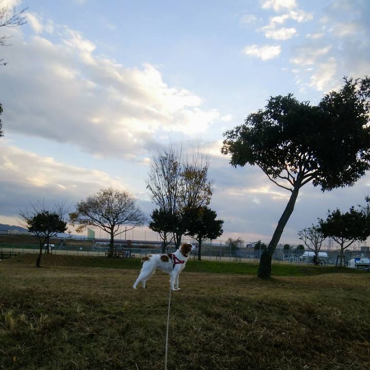 D5f43091 7bec 4cf2 806f 34a5823796a4 1545121538615