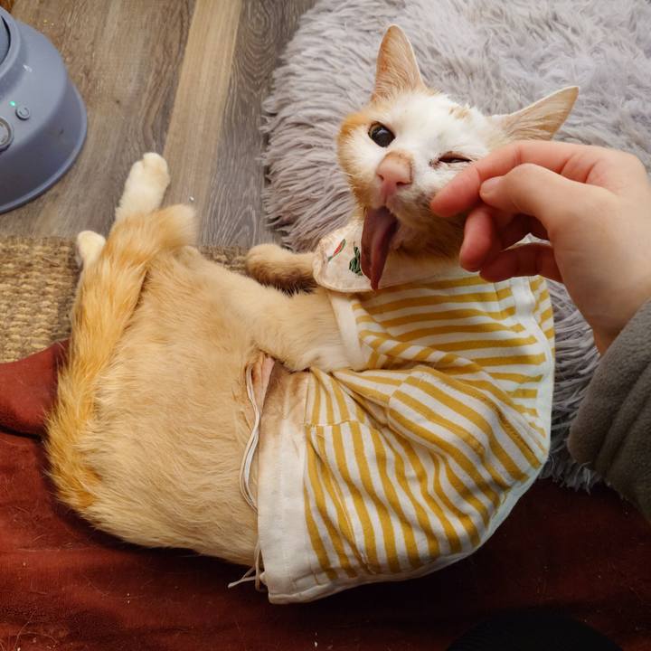 D5f43218 1a70 444a a68a 2a33147d8fdd 1768172726291