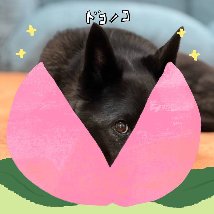 D5f435df 8f0d 487a 9af3 57d39fb6b252 1772097377549