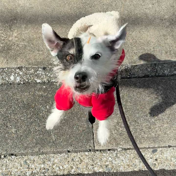 D5f44d44 2d74 415a a16e 36c7a4c08012 1763170776741