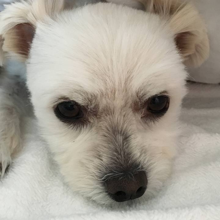 D5f46d62 3fd9 4aa8 9189 df1e4e4102cb 1541825930253