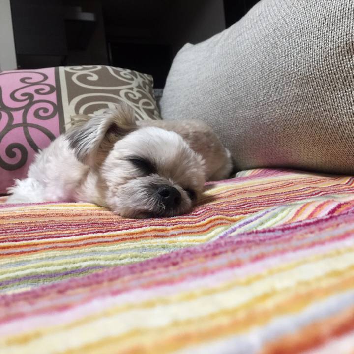 D5f490a4 a47b 429d b488 eda1d46a7526 1545222059687