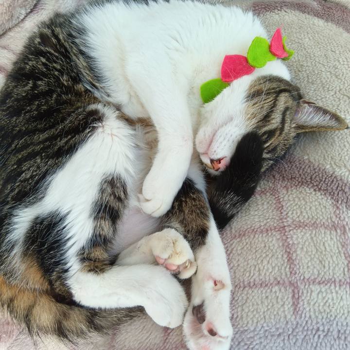 D5f4ee76 9d5f 4539 b5e1 61f8717563ff 1765885457043