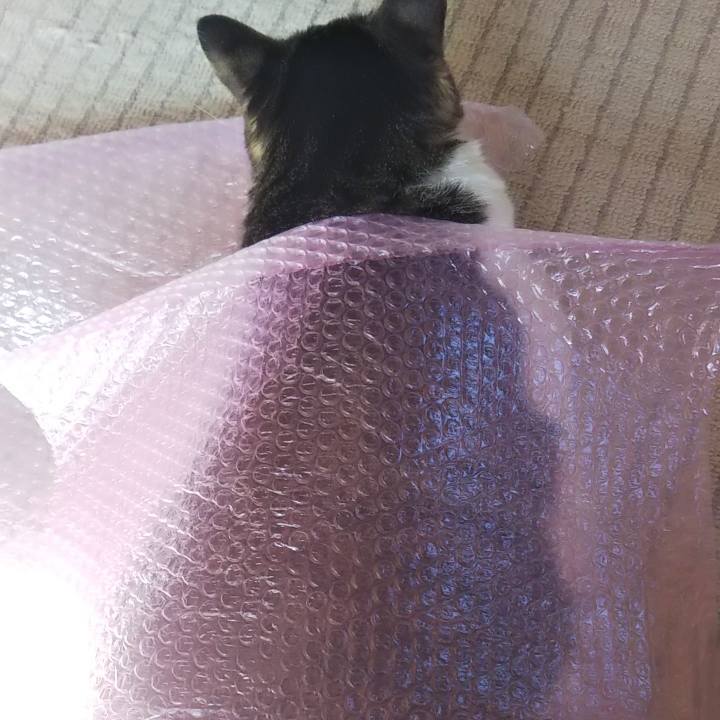 D5f4fbbd 7613 4f9d a1bf 50877840152e 1616147058536