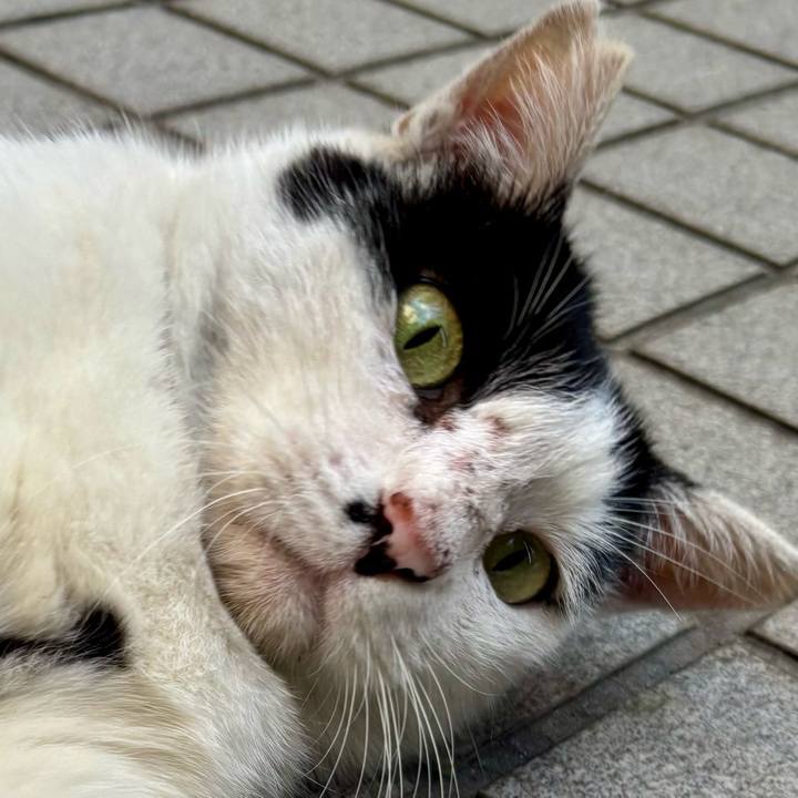 D5f52004 3a67 405a 8929 b8421e52b749 1759739844500