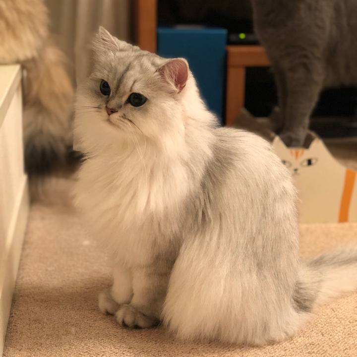 D5f5481b a842 422b 9dac 0f982b20c99f 1539174143588