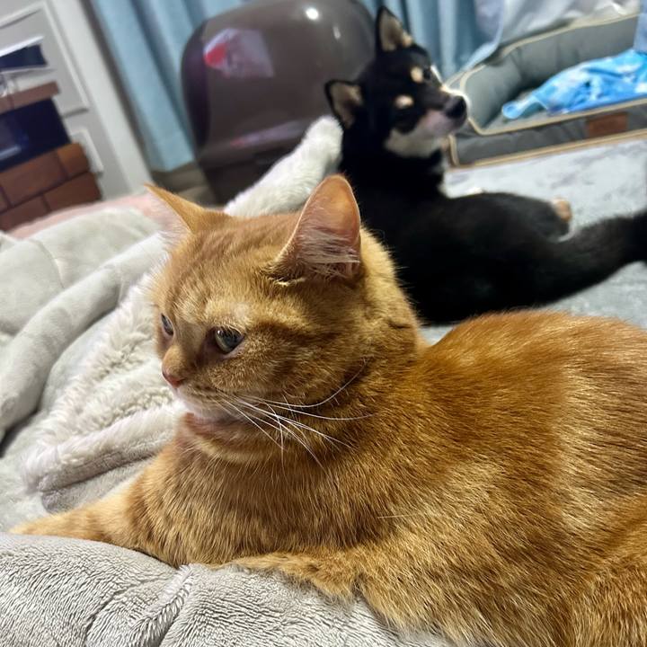 D5f5578c a5a6 40c3 b407 40ba844e2ad4 1722779571167