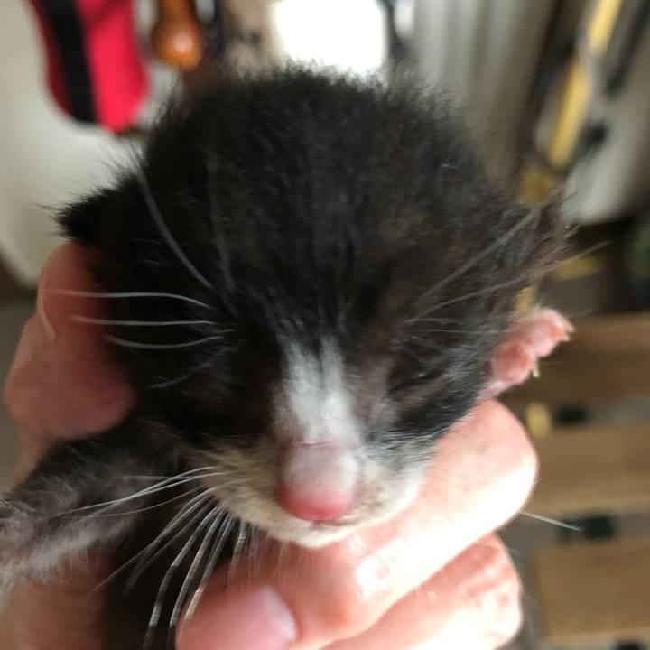 D5f5bb00 cb05 4a76 8229 3c5070afe4dd 1596702543674