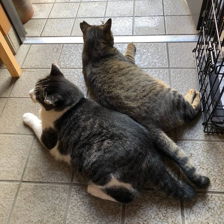 D5f5d8bf 51c2 45c4 87d7 110d5eca5eb5 1538380622129