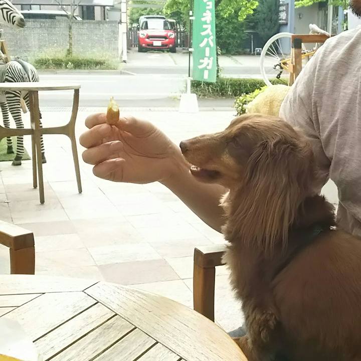 D5f5ec73 4f24 4b94 a214 b4a764739c3f 1526176925866