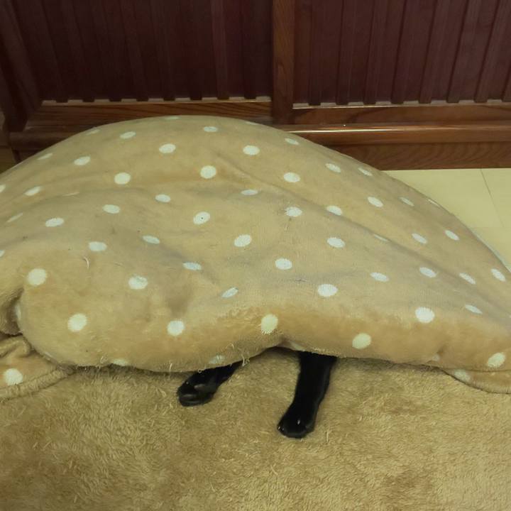 D5f64e8d e9cc 4cad 8a55 f1e8bfe3a0dd 1643465915001