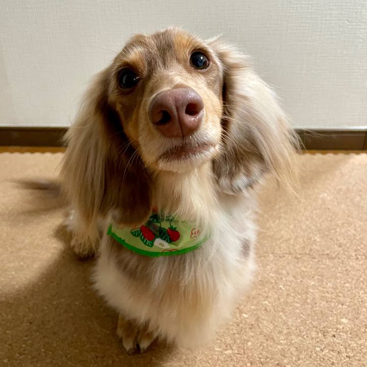 D5f6610f 3df9 4da3 8955 ddc7b817acd9 1769605848812