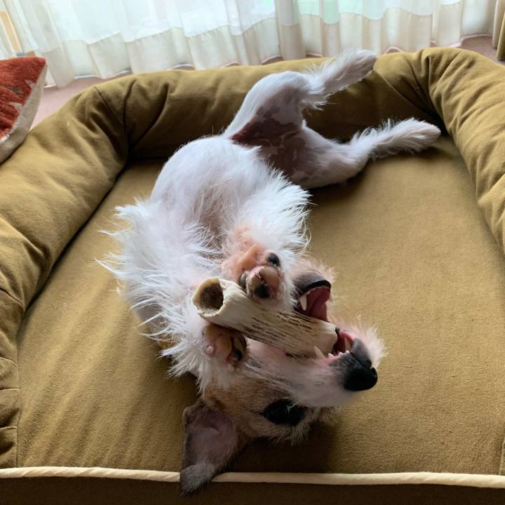 D5f689a3 e753 4e92 afc3 3b2c5ace6391 1596784214692