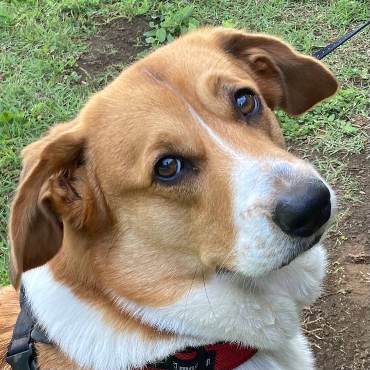 D5f68de8 d2c1 4726 8802 77d3688656bf 1683684165016