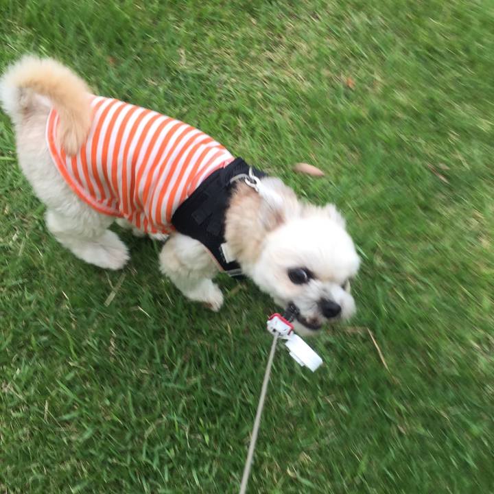 D5f68fd2 029b 4764 bf9a 916fd2bb3835 1533211302025