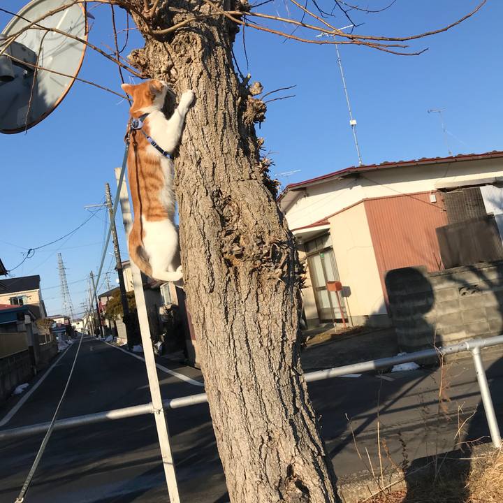 D5f6d051 ae7b 4e4d 9591 daf676512799 1517642369911