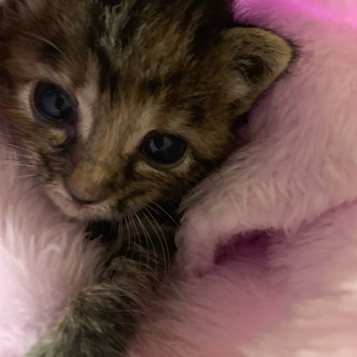 D5f6d967 d704 411a a396 4f2da177c0e6 1555752145074