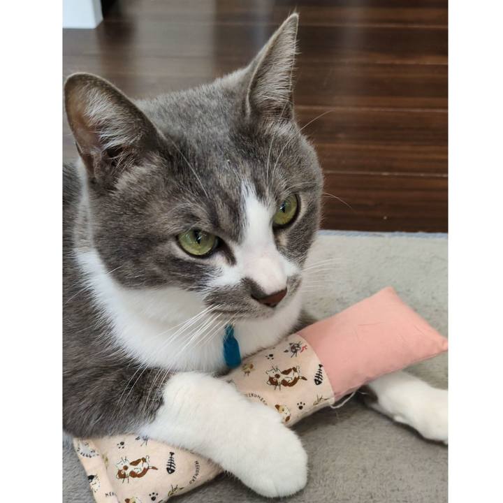 D5f717a1 44bb 47ae 9528 a4ed0a5215e9 1740110474860