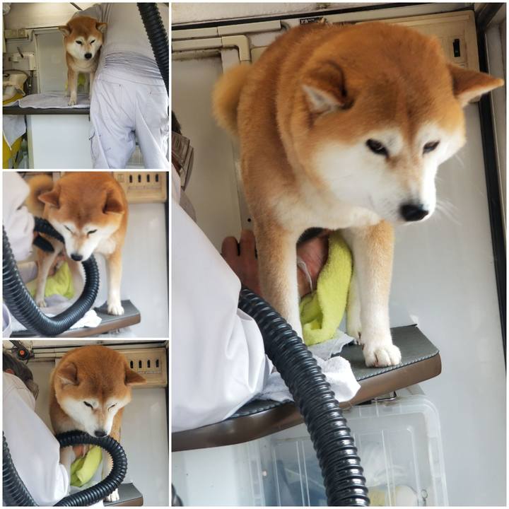 D5f71e70 5902 420d 9c30 ba8425c027bb 1588053755690