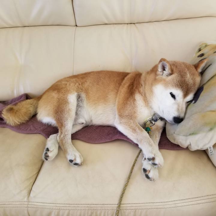 D5f76e05 4c2c 44ec 8d56 44be5fb6fe95 1662952543865